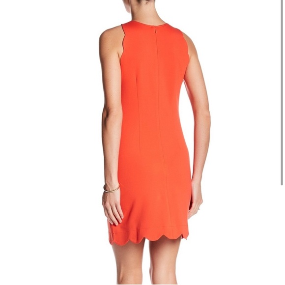 Vince Camuto Dark Coral Scallop Hem Shift Dress - Picture 6 of 6